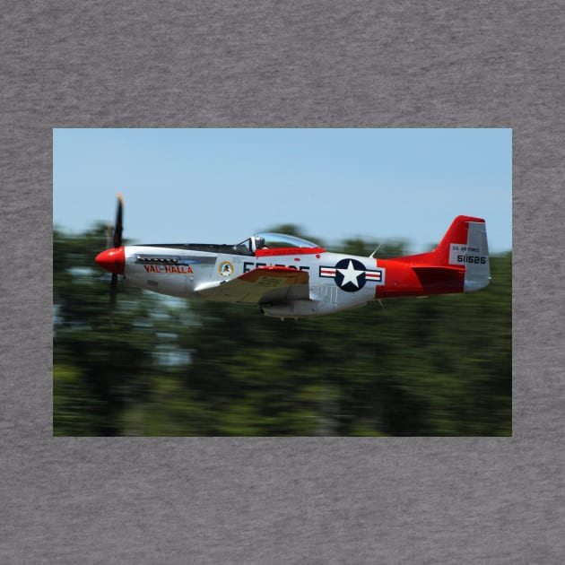 P-51D Mustang Fast by acefox1